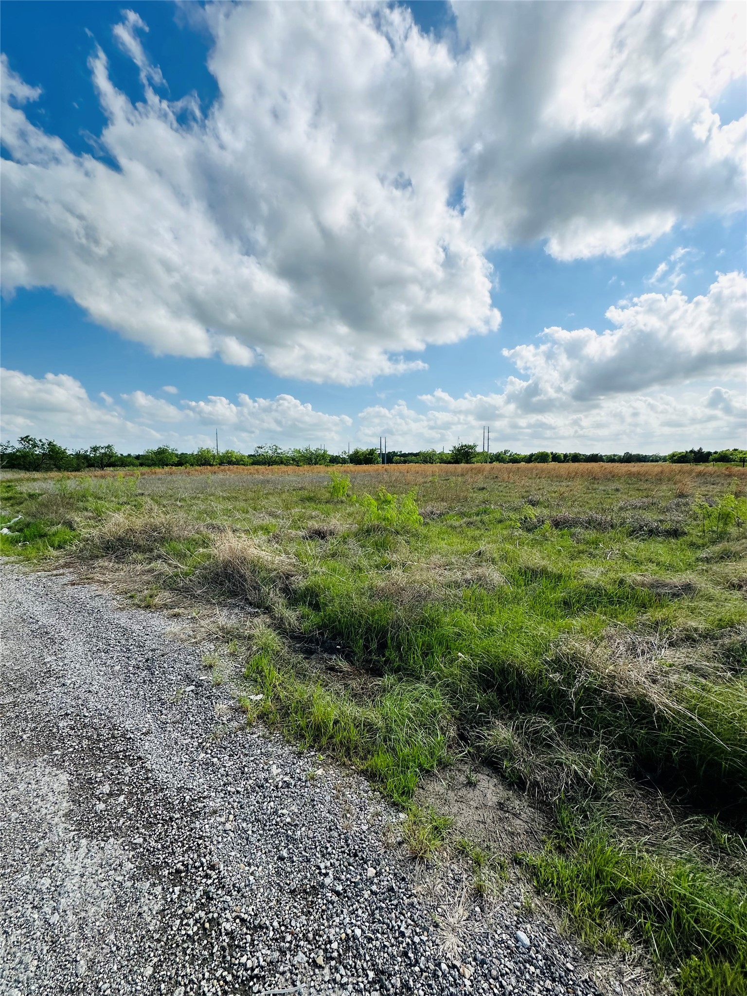 16547 State Highway 205 Terrell TX 75160