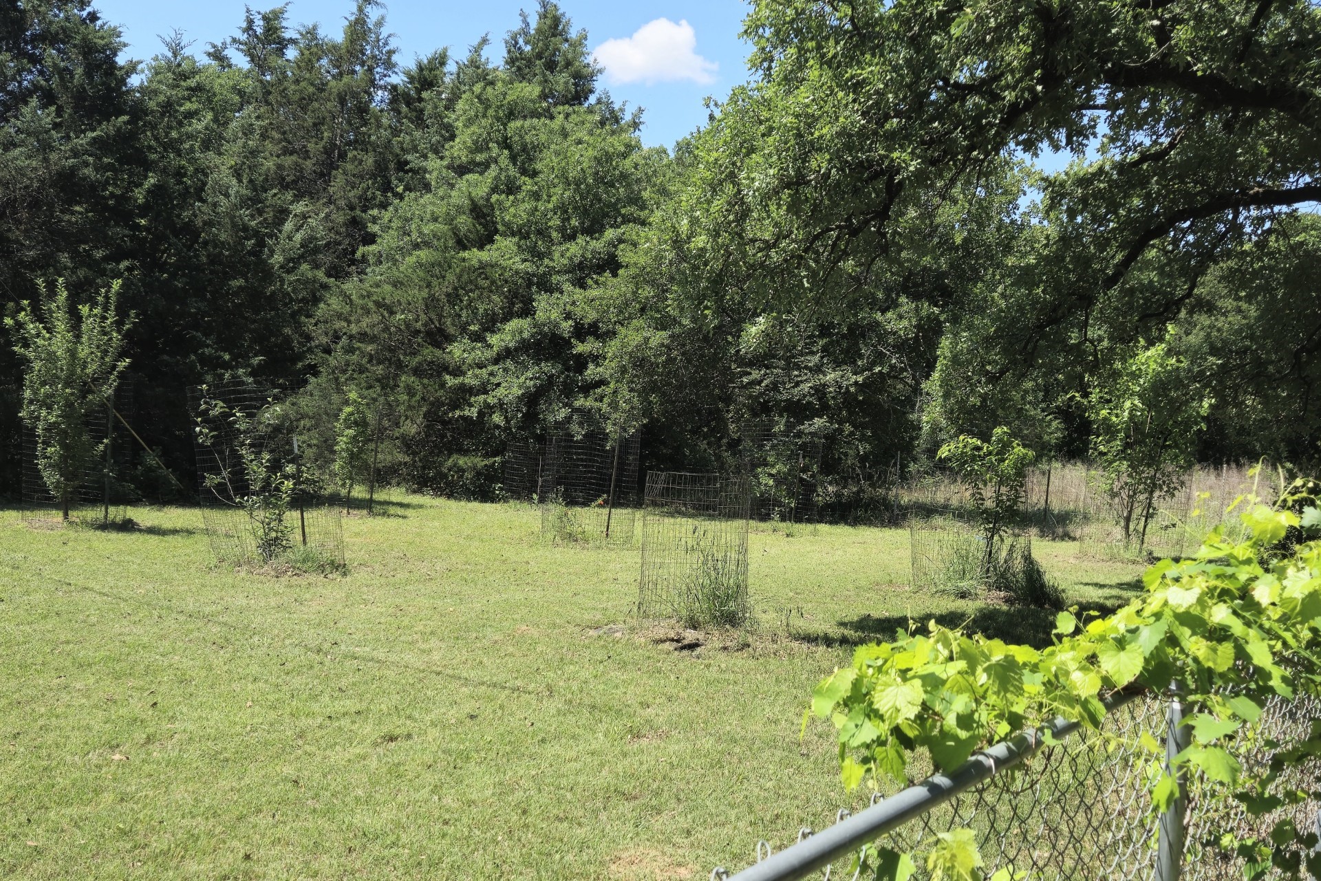 748 County Road 1560 Chico TX 76431