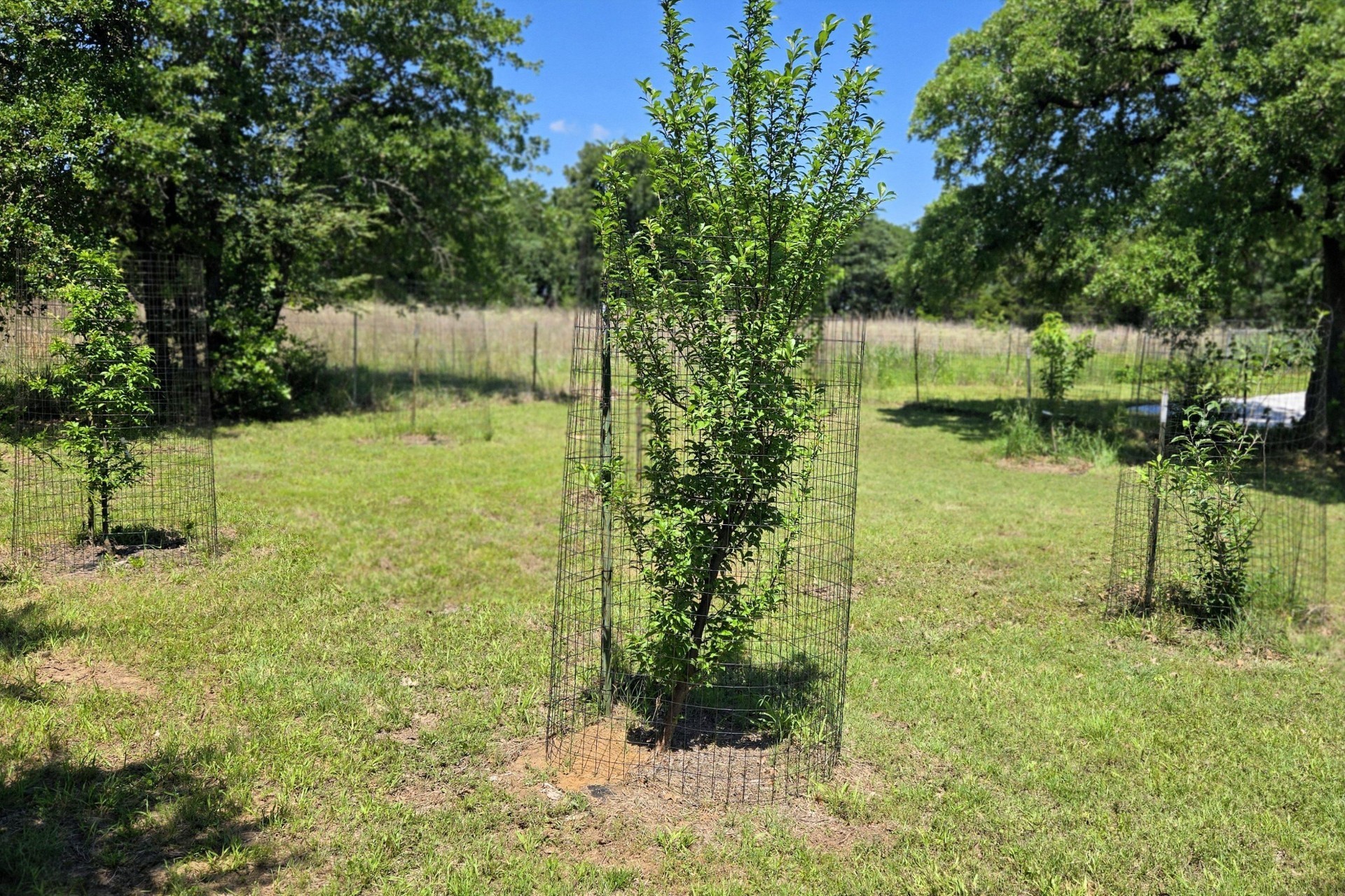 748 County Road 1560 Chico TX 76431