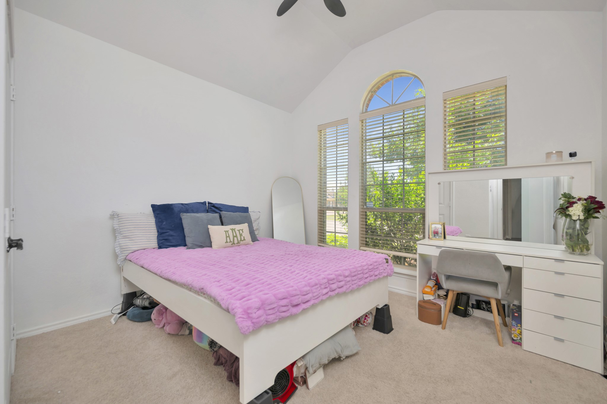 545 Wild Ivy Trail Fort Worth TX 76052
