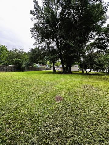 305 Grace Lane Terrell TX 75160