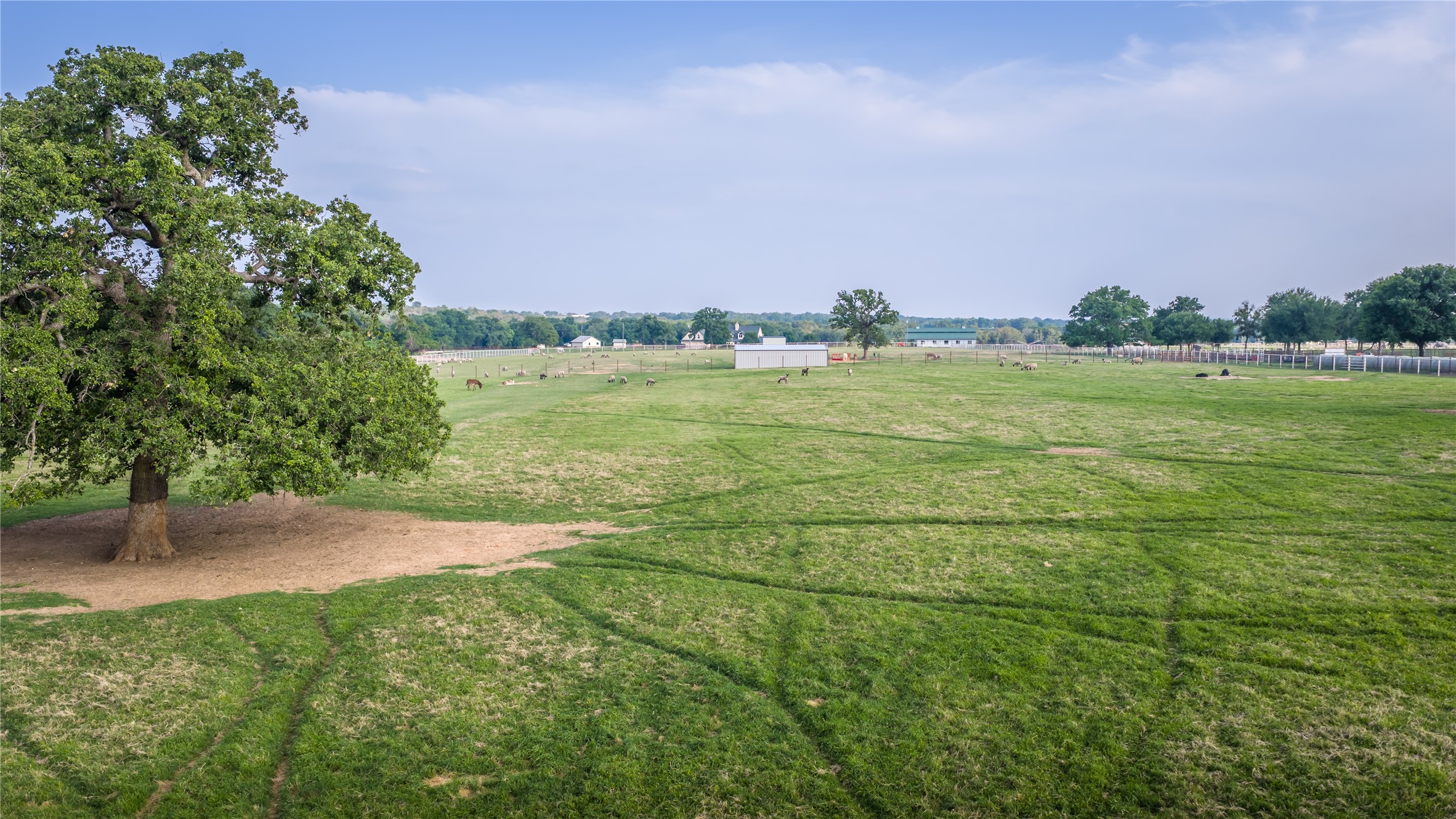 24183 S Us 281 Hico TX 76457
