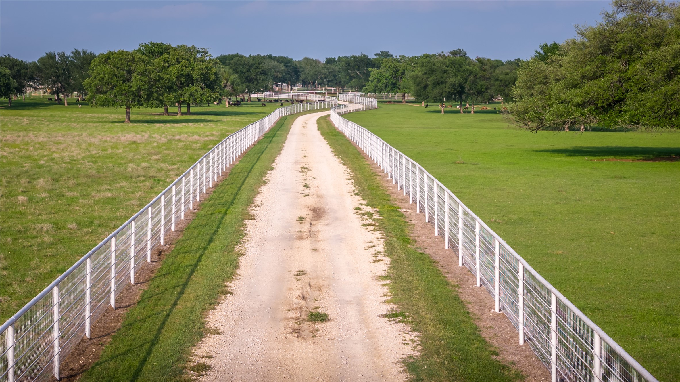 24183 S Us 281 Hico TX 76457