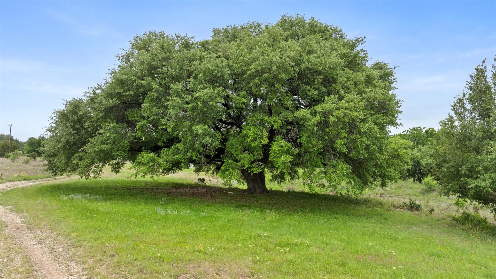 3318 Cr 302 Glen Rose TX 76048