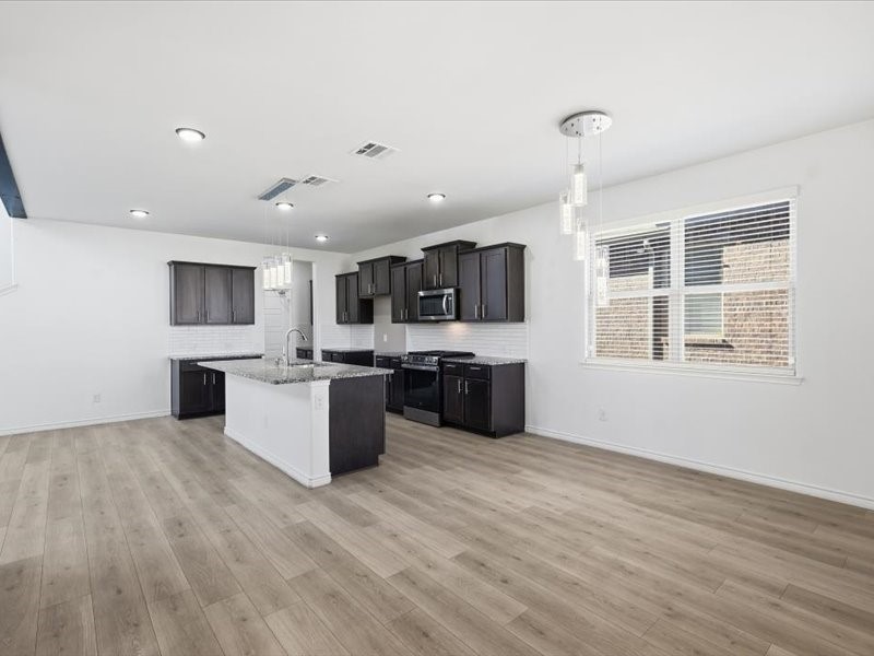2356 Pyrite Drive Little Elm TX 76227