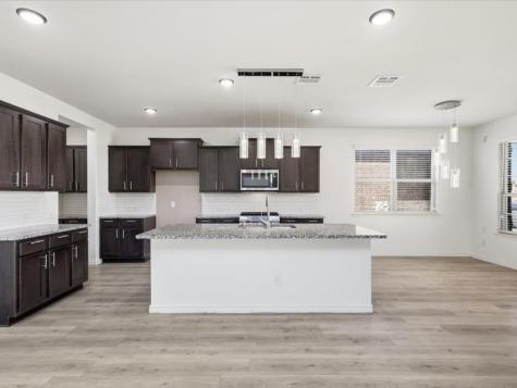 2356 Pyrite Drive Little Elm TX 76227