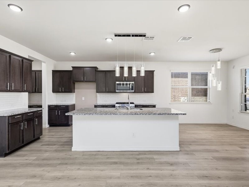2356 Pyrite Drive Little Elm TX 76227