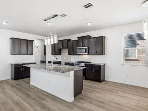 2356 Pyrite Drive Little Elm TX 76227