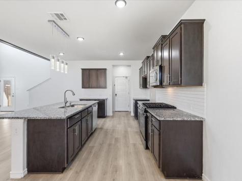 2356 Pyrite Drive Little Elm TX 76227