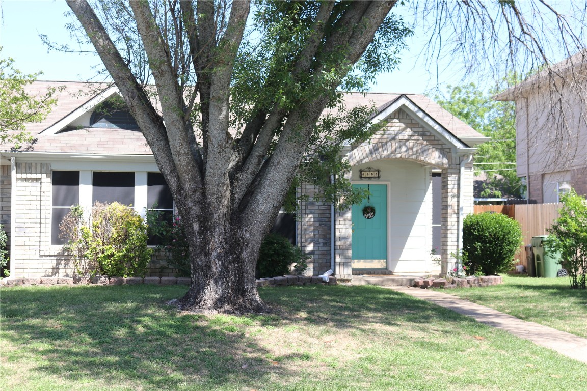 6605 Olivewood Drive Arlington TX 76001