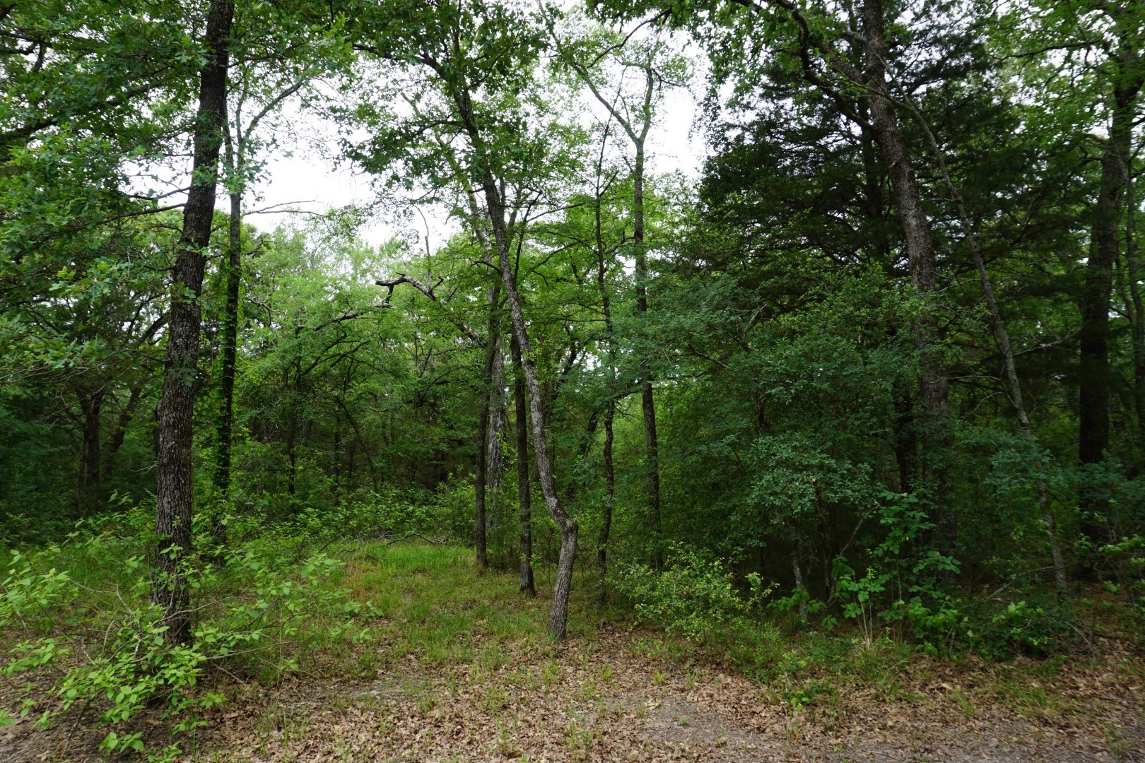 10530 Private Road 5207 Malakoff TX 75148
