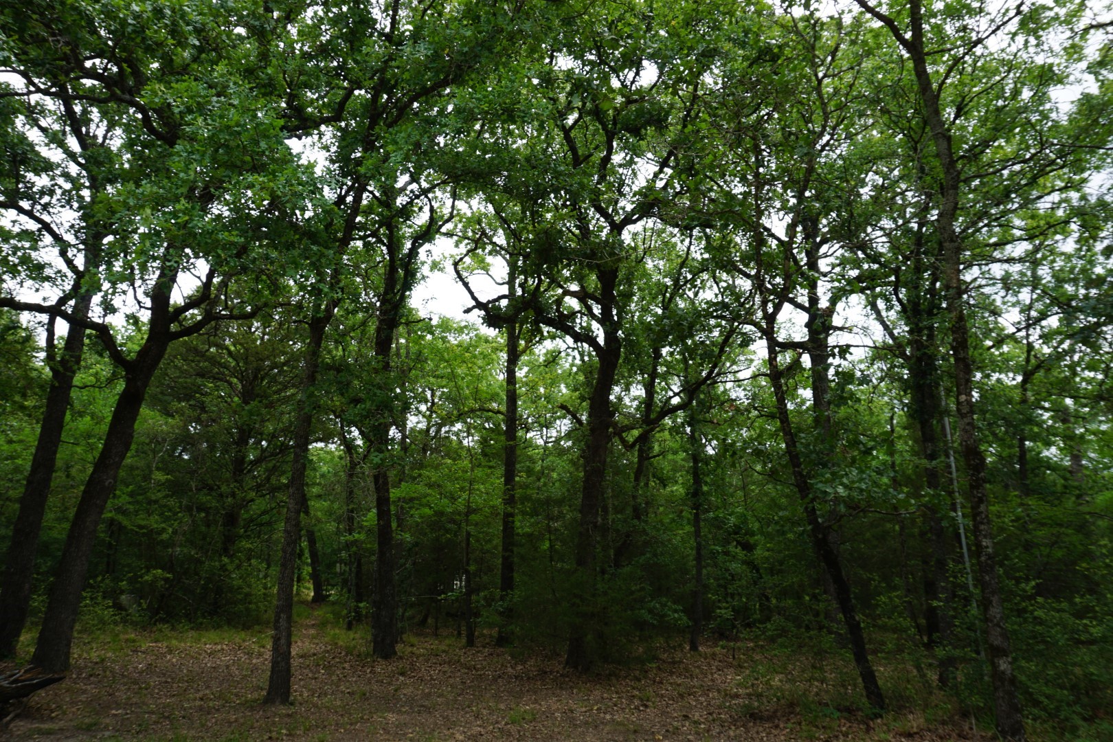 10530 Private Road 5207 Malakoff TX 75148