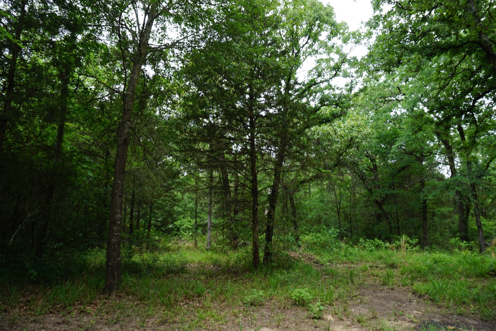 10530 Private Road 5207 Malakoff TX 75148