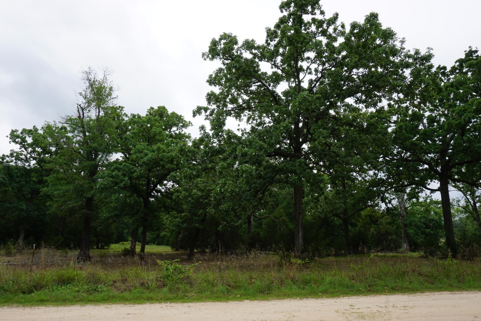 10530 Private Road 5207 Malakoff TX 75148