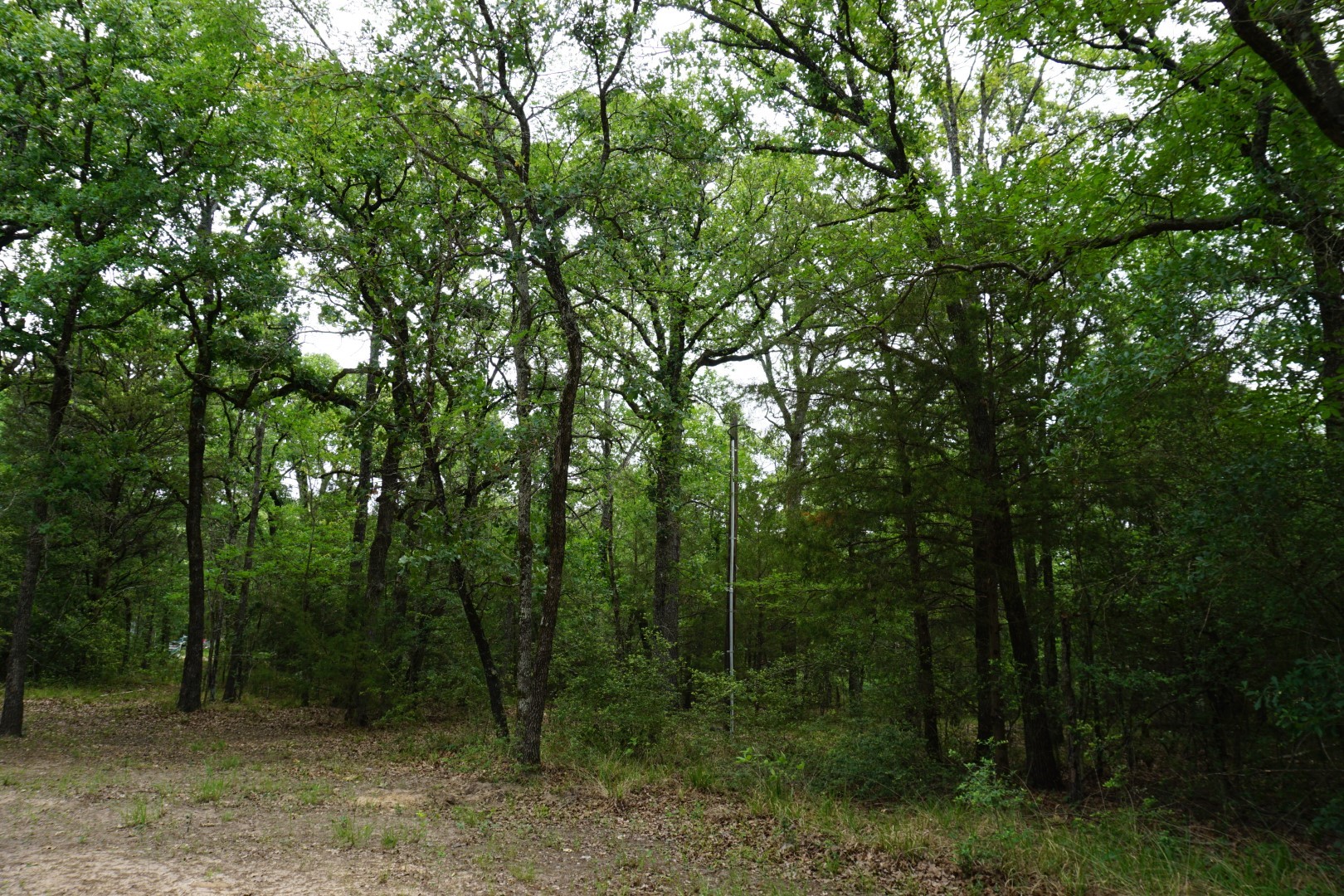 10530 Private Road 5207 Malakoff TX 75148