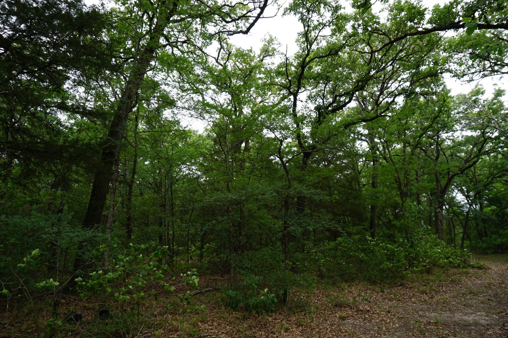 10530 Private Road 5207 Malakoff TX 75148