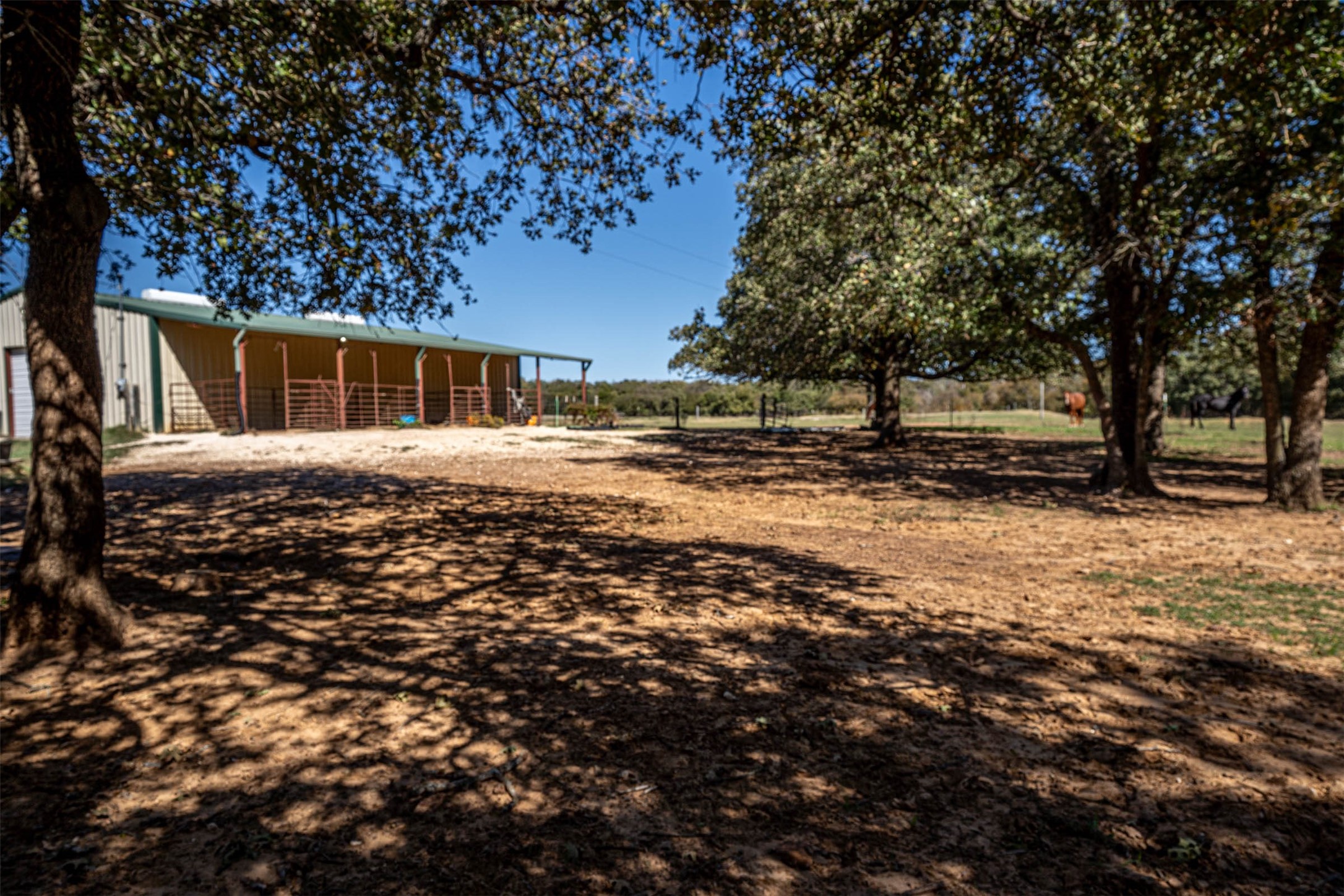 1293 Hcr 1425 Covington TX 76636