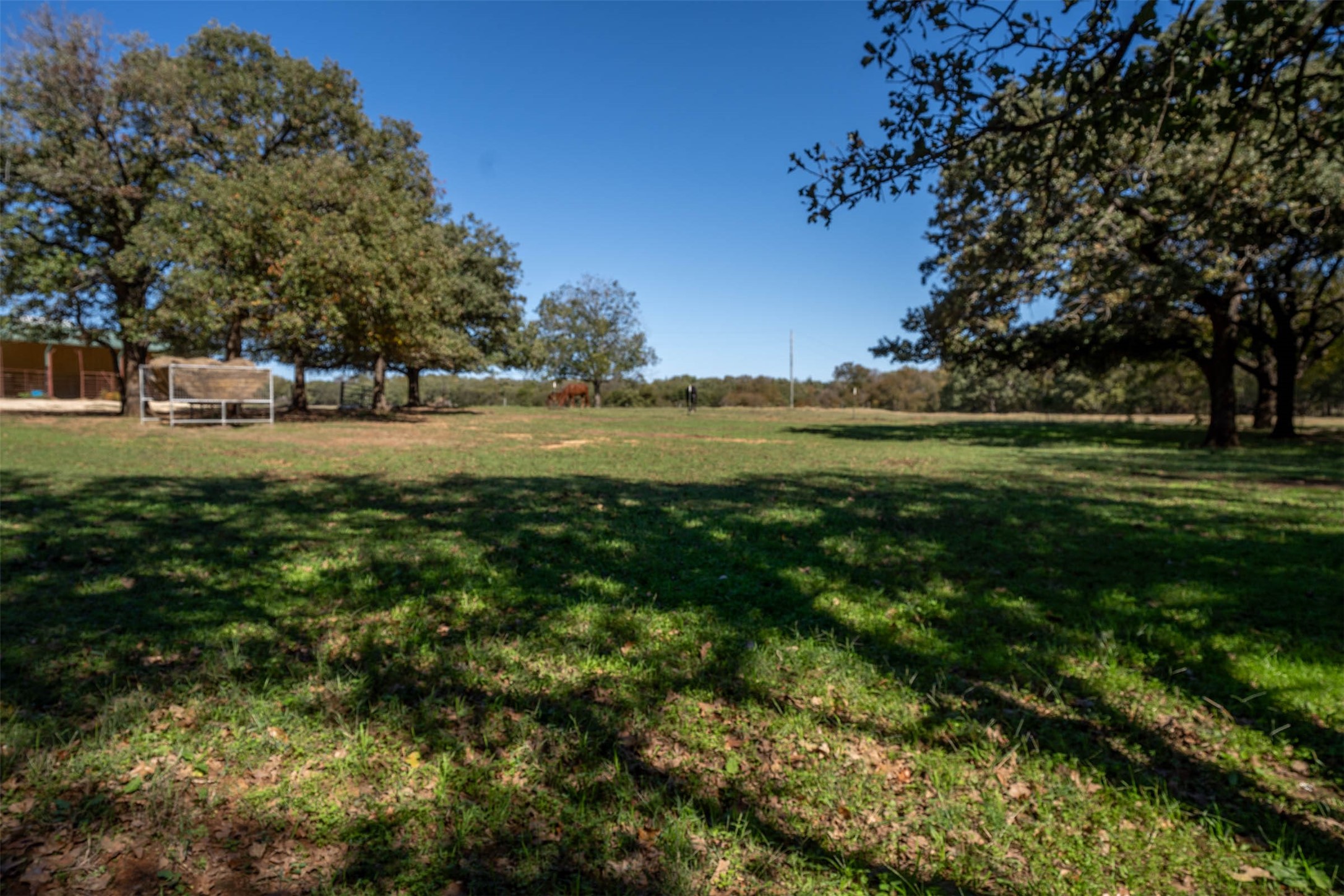 1293 Hcr 1425 Covington TX 76636