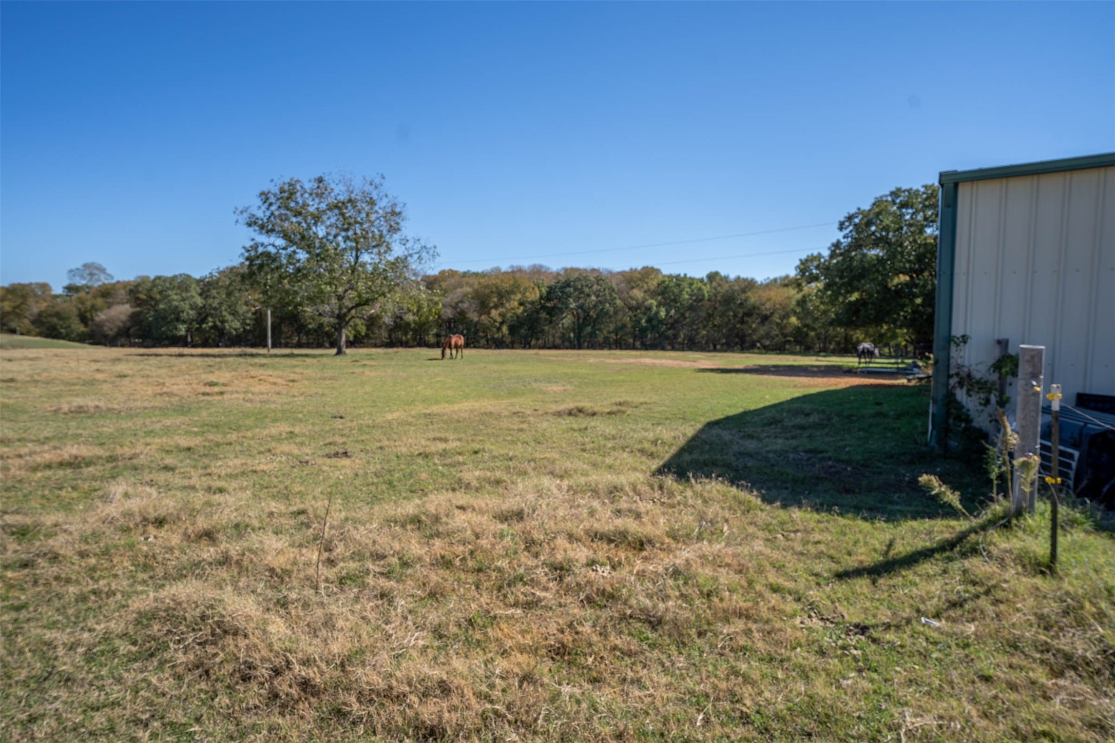 1293 Hcr 1425 Covington TX 76636
