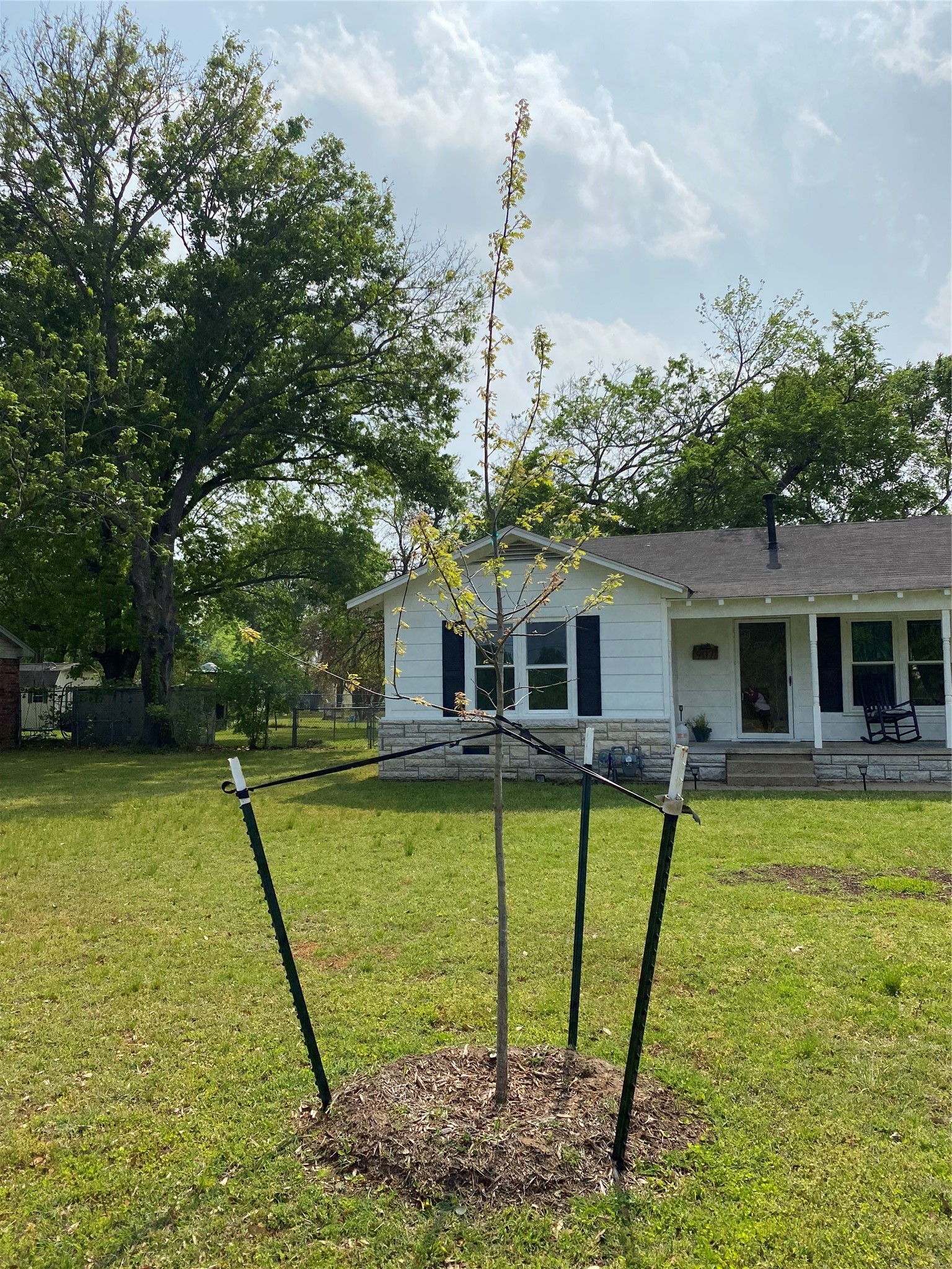 907 N Magnolia Avenue Hubbard TX 76648