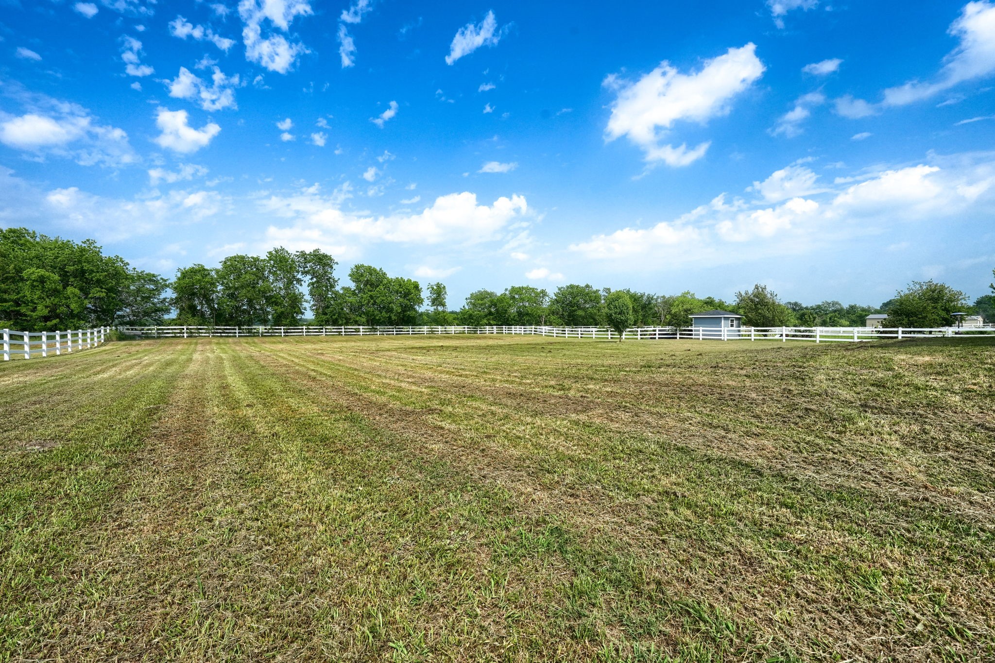 15396 Saddle Ridge Circle Terrell TX 75160