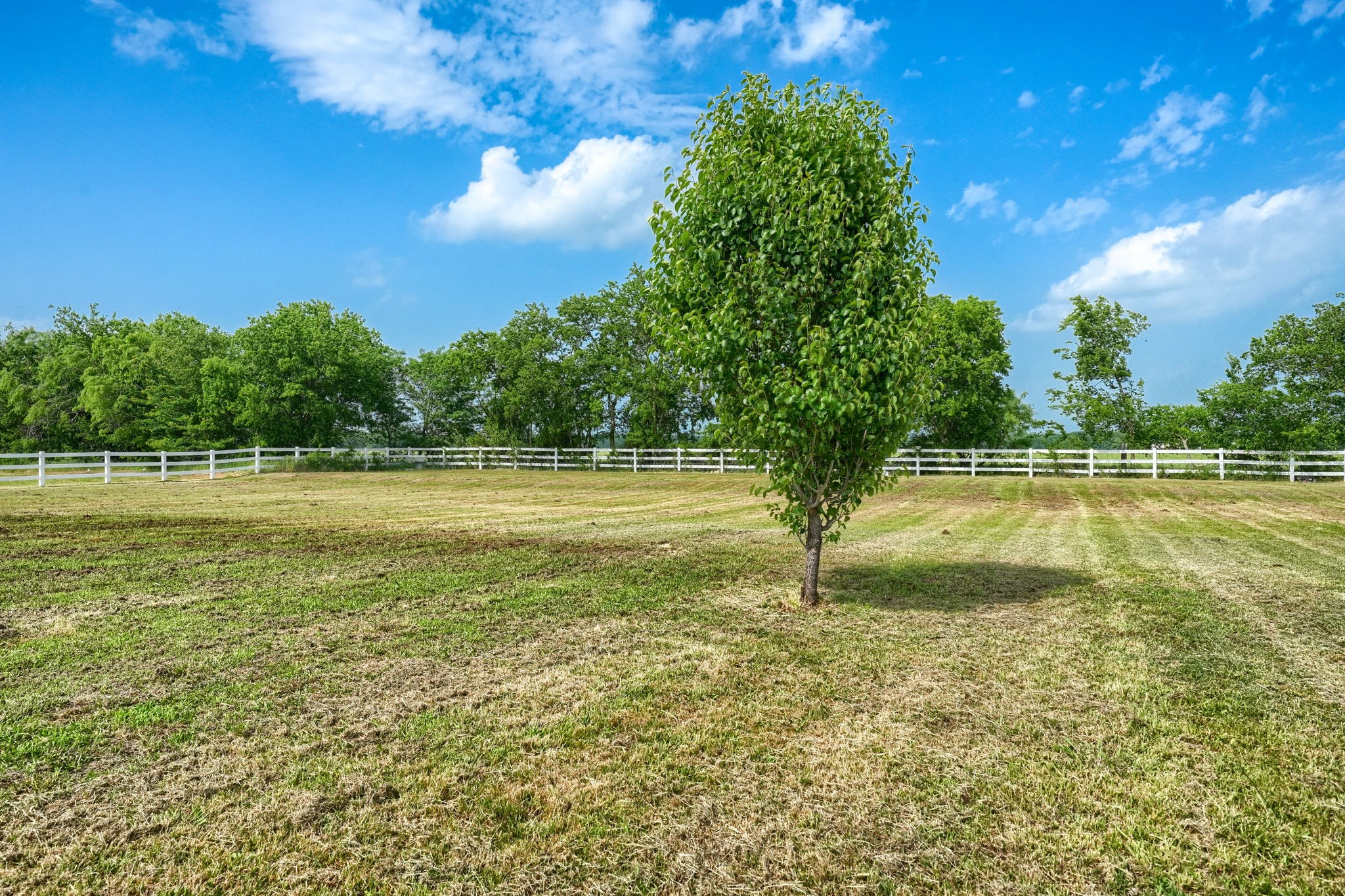 15396 Saddle Ridge Circle Terrell TX 75160