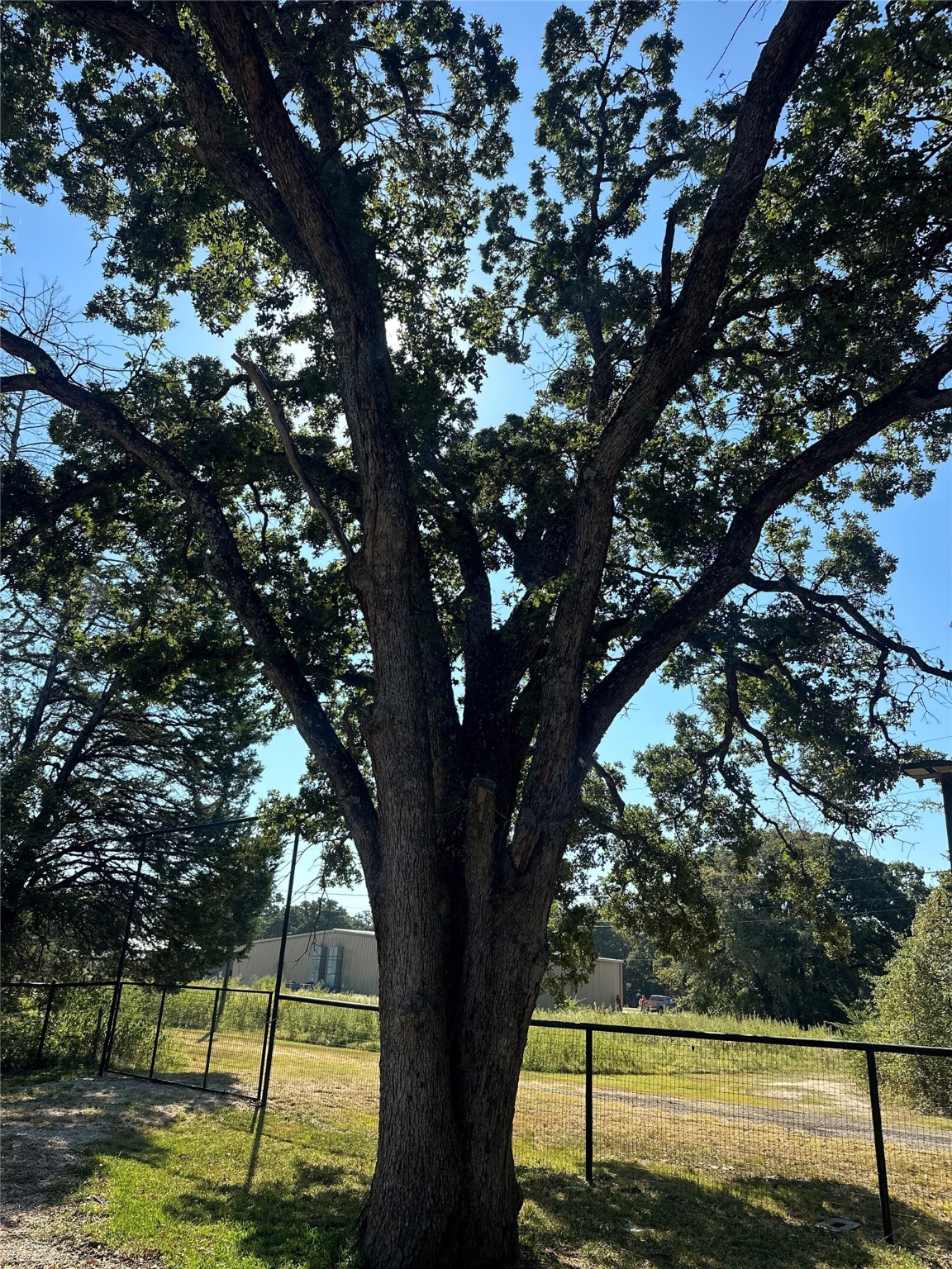 191 Cherry Lane Streetman TX 75859