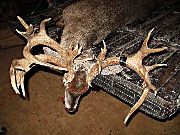 9300 County Road 131 Brownwood TX 76801
