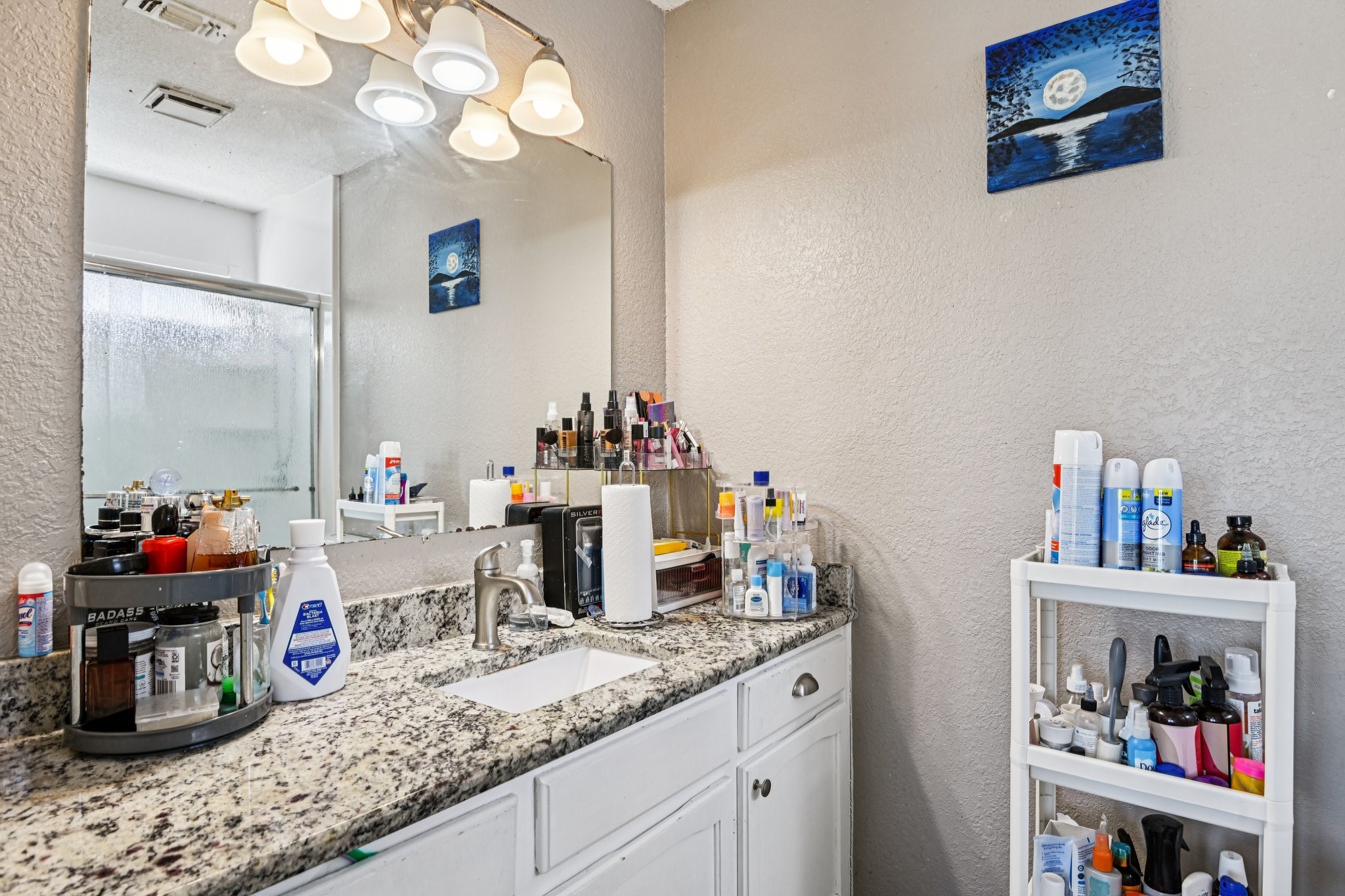 1318 Oak Run Drive Duncanville TX 75137
