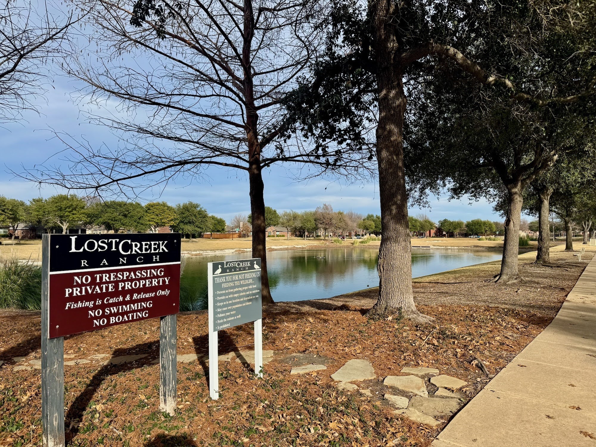 1309 Hazelwood Drive Allen TX 75002