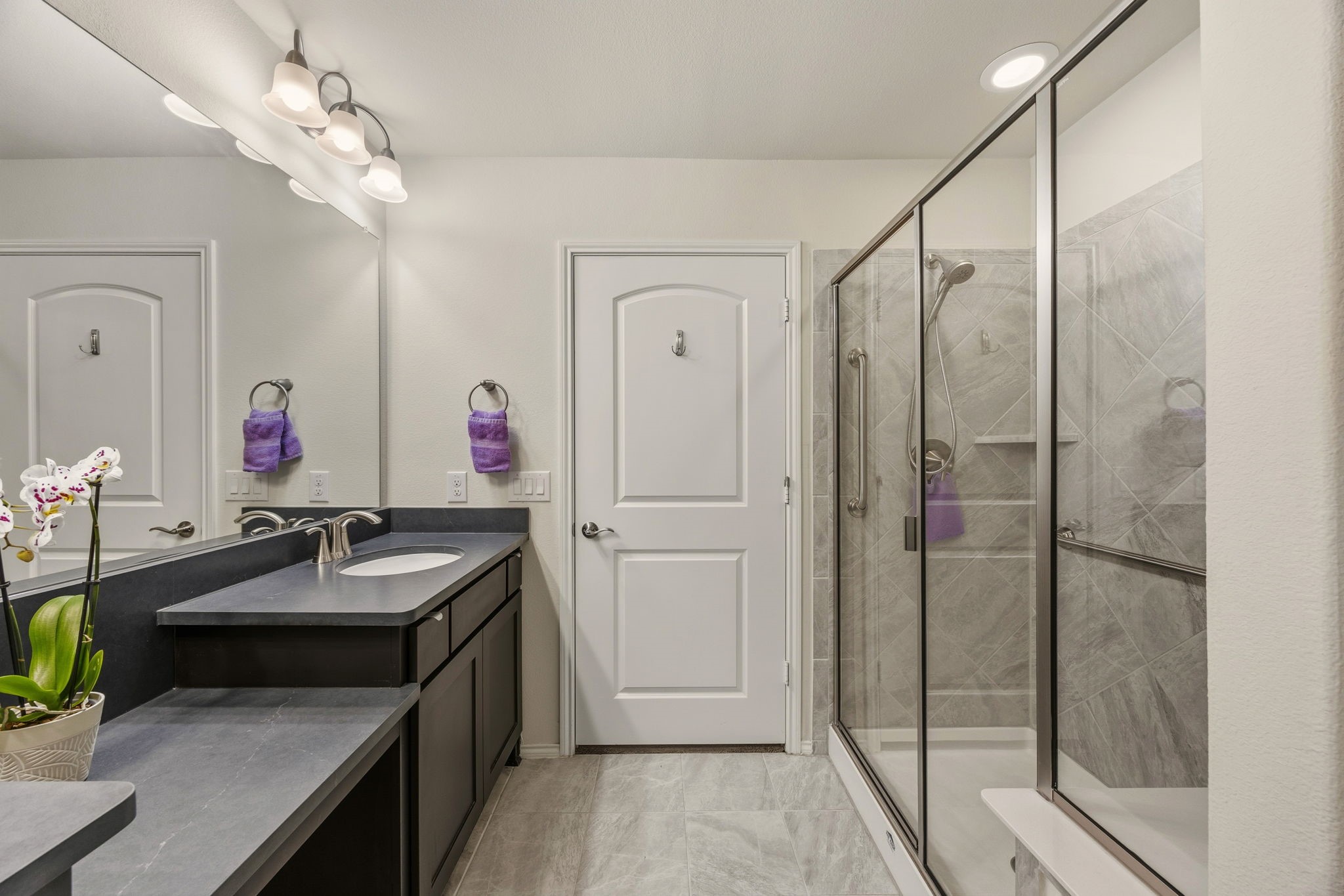 1231 Freedom Lane Little Elm TX 76227