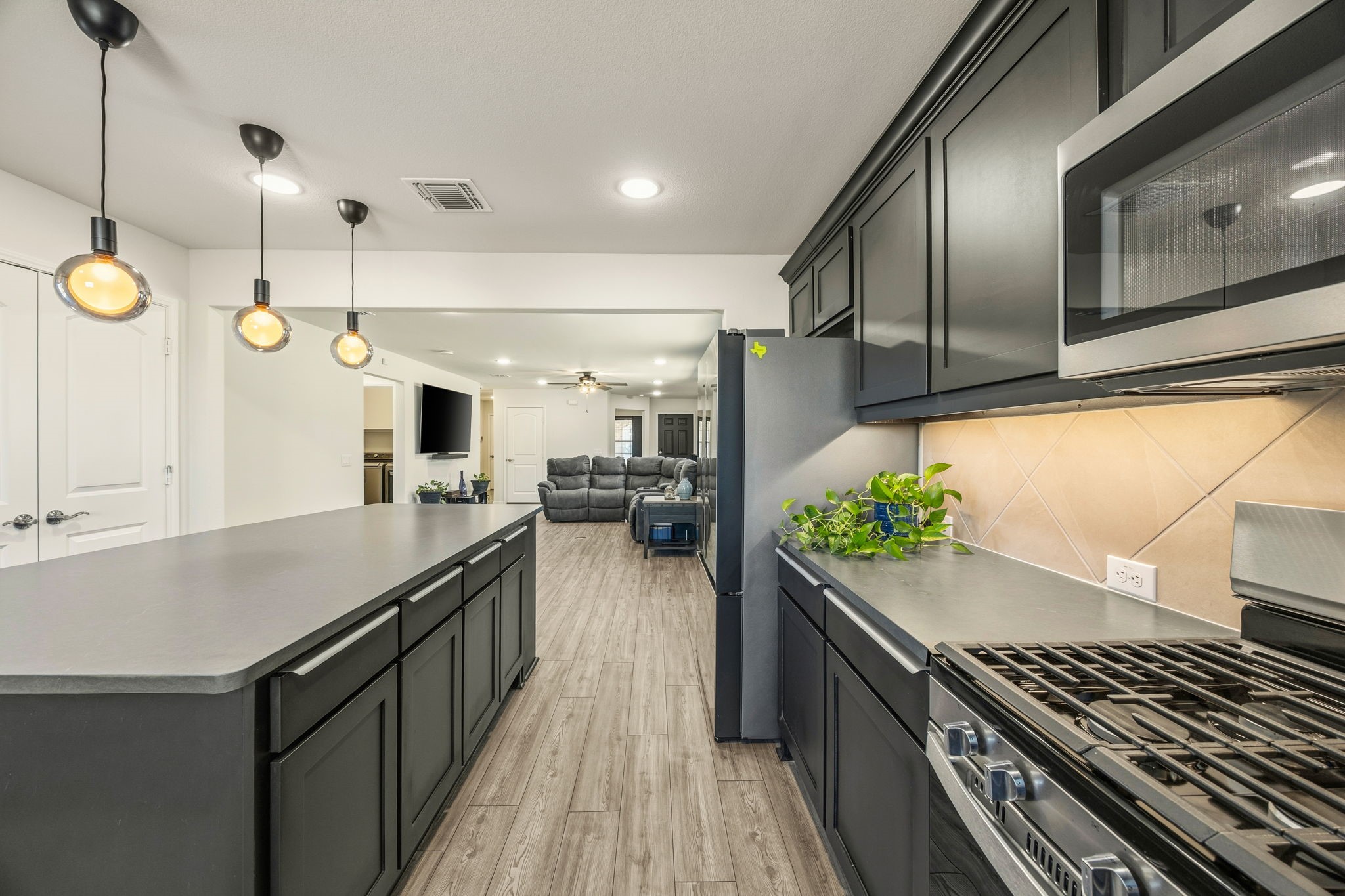 1231 Freedom Lane Little Elm TX 76227