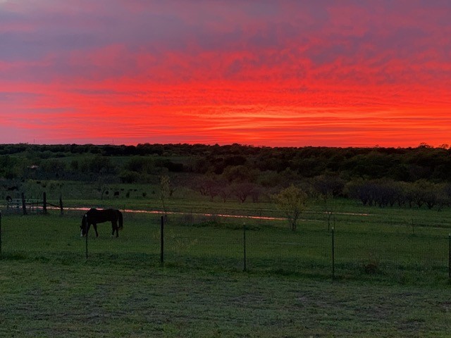 290 Barton Road Maypearl TX 76064
