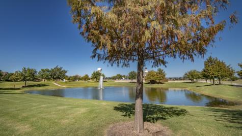 315 Revolution Road Fate TX 75189