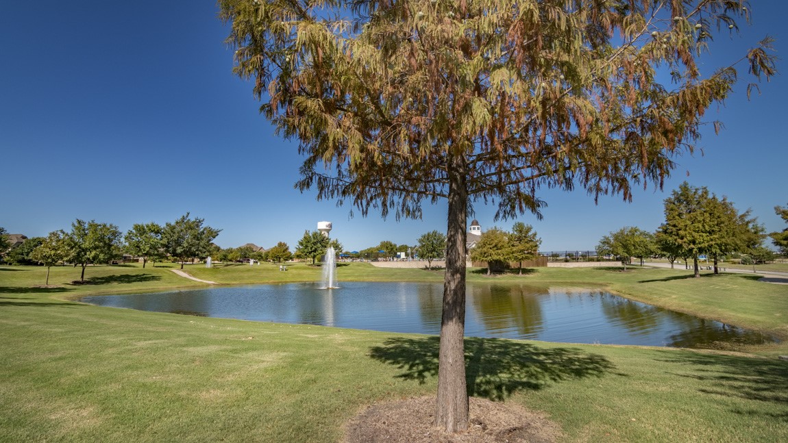 315 Revolution Road Fate TX 75189