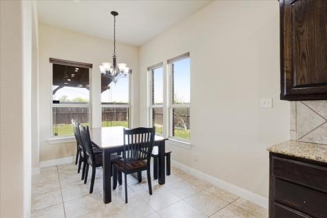1104 Seclusion Cove Drive Mckinney TX 75072