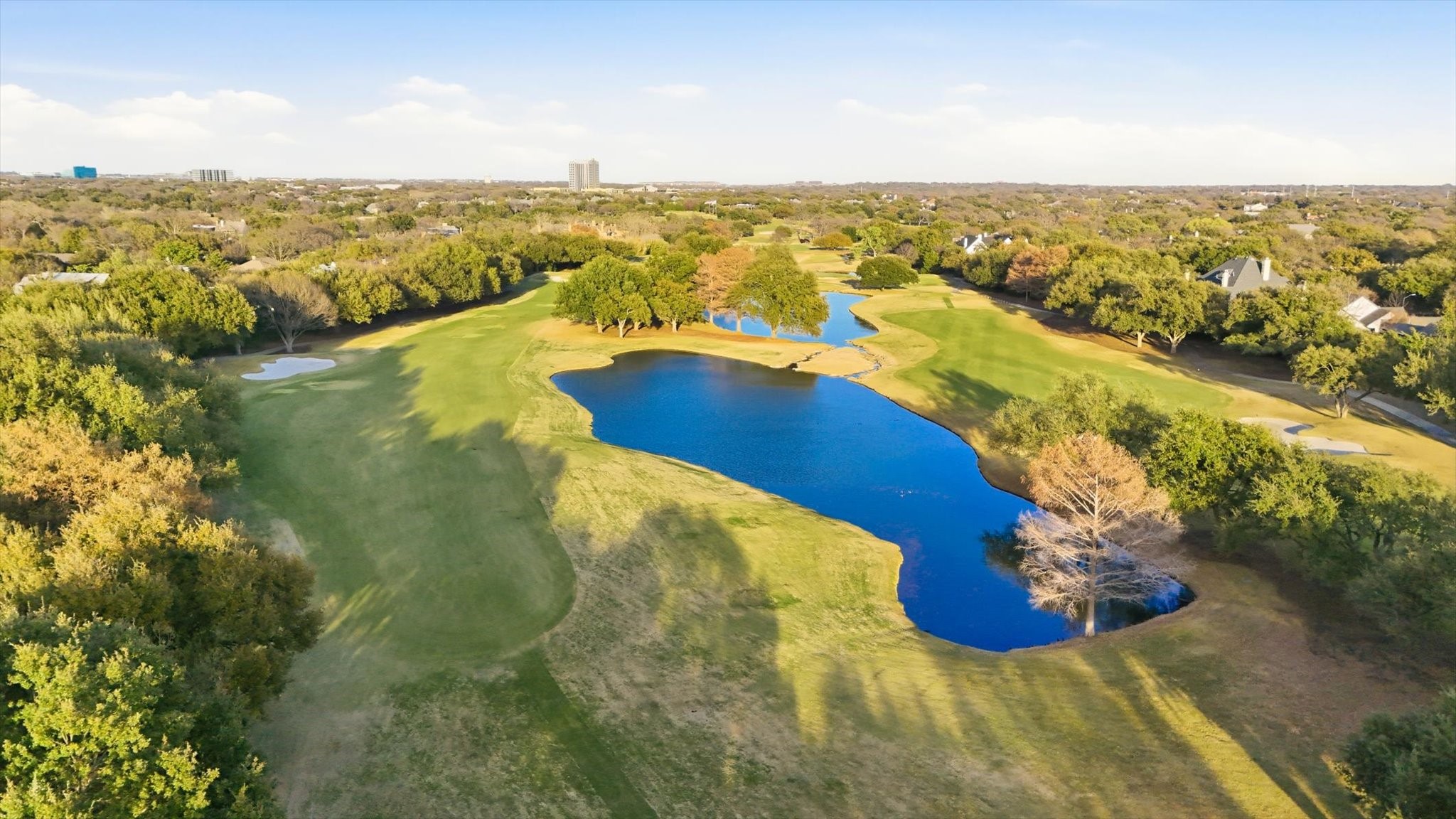 16815 Village Lane Dallas TX 75248
