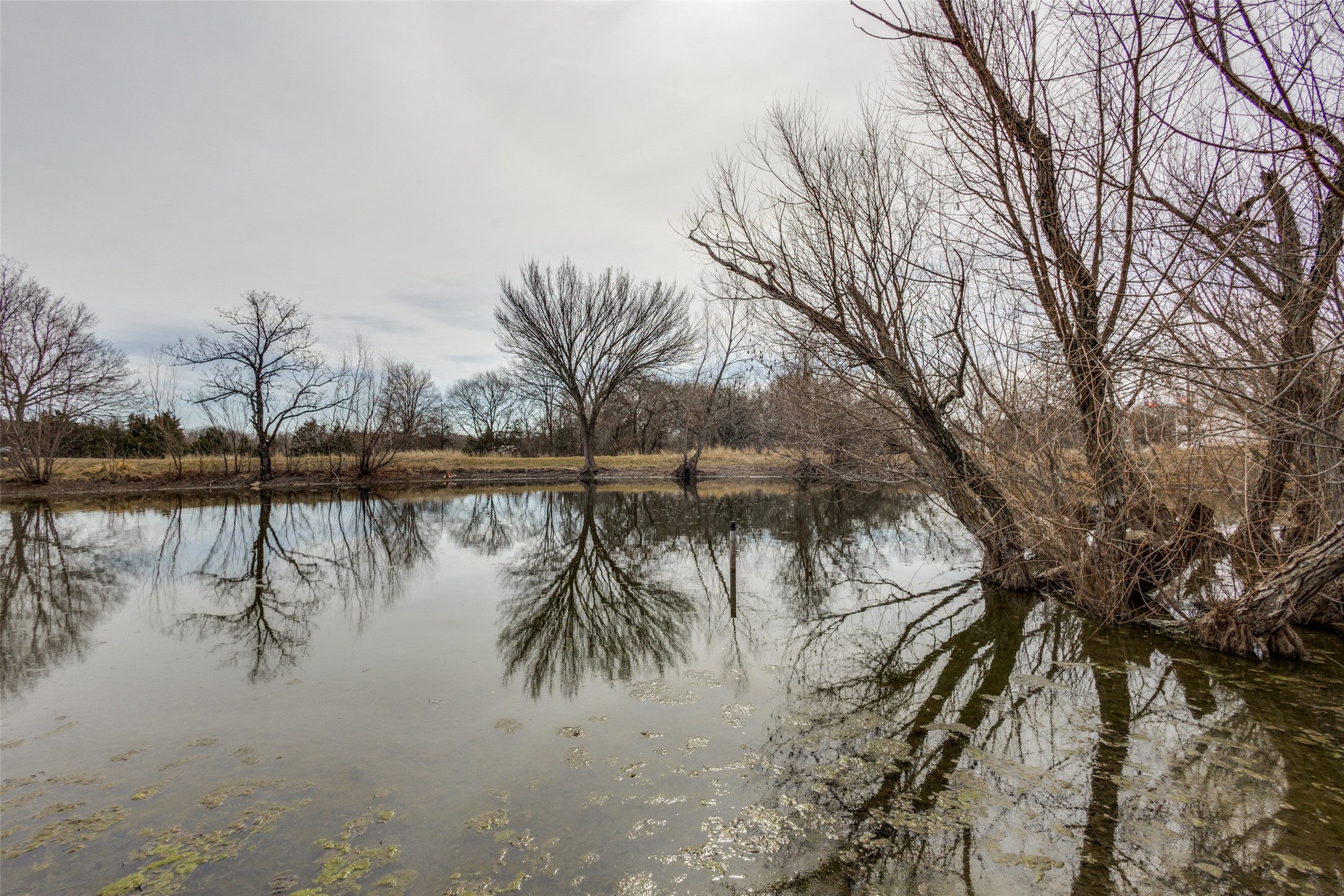 105 Settlers Bend Lowry Crossing TX 75069