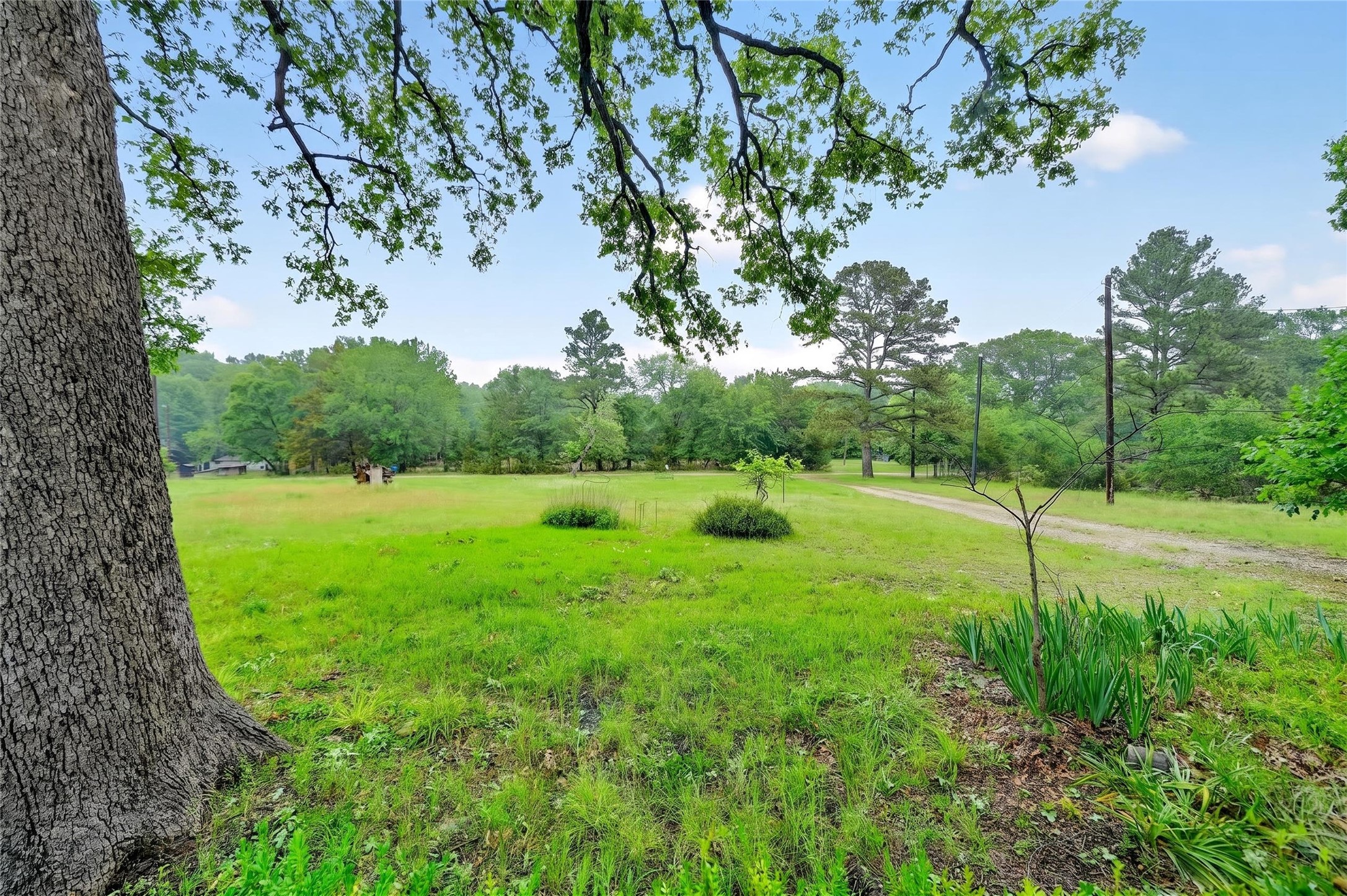 2752 Private Road 2410 Quinlan TX 75474
