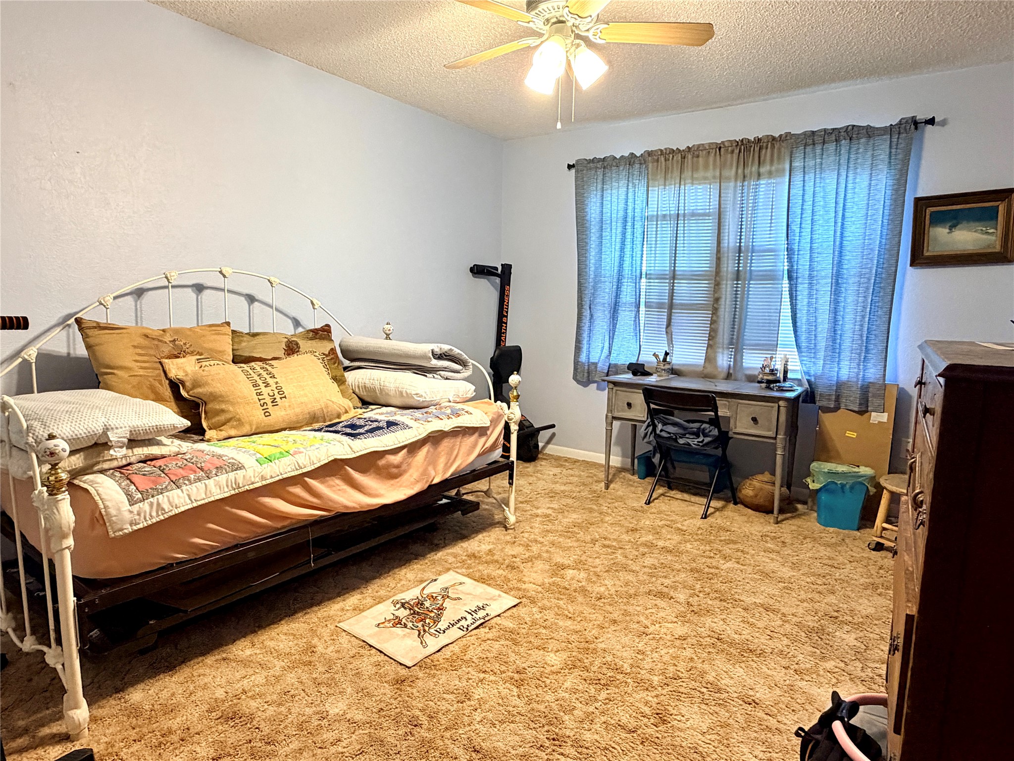 1399 State Highway 16 N Priddy TX 76442