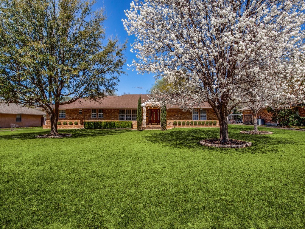 11029 Strayhorn Drive Dallas TX 75228