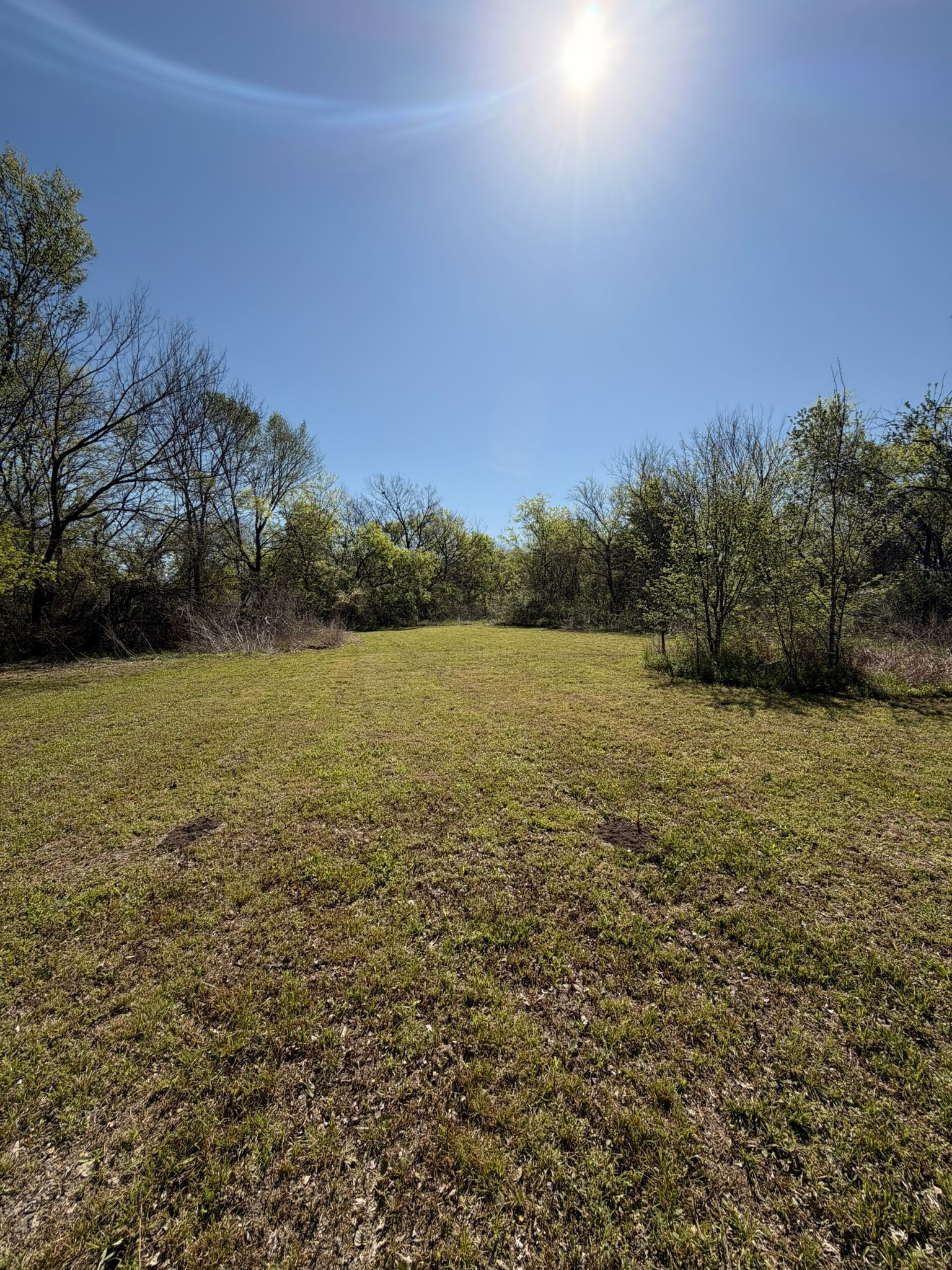 908 N Virginia Street Terrell TX 75160
