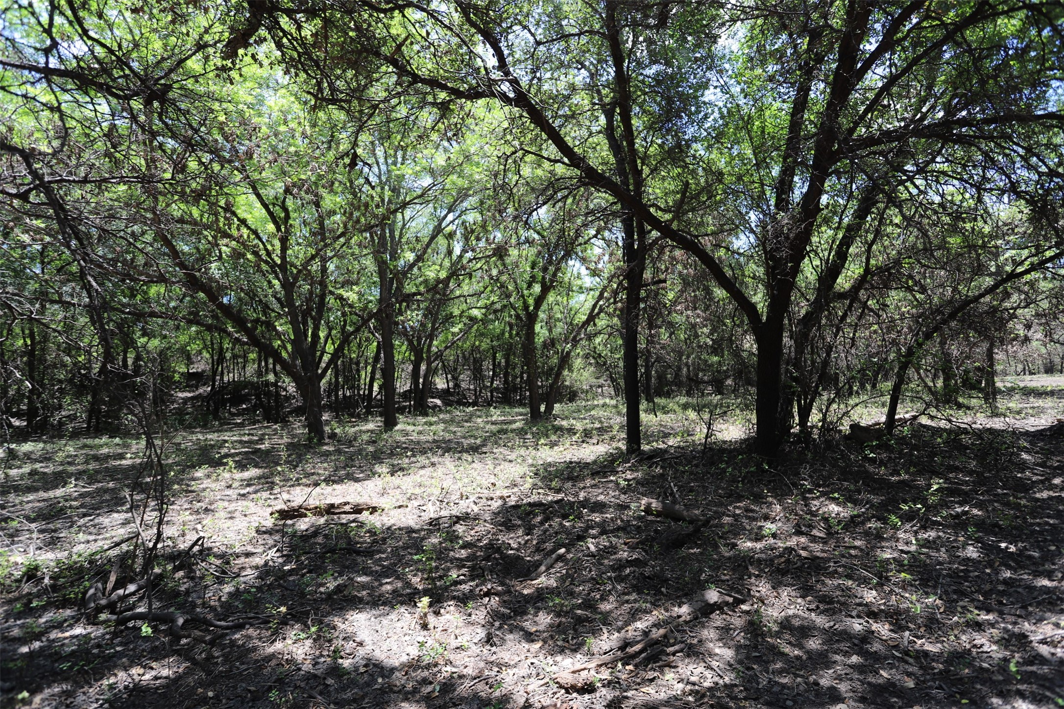 1485 County Road 224 Valley Mills TX 76689