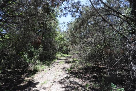 1485 County Road 224 Valley Mills TX 76689