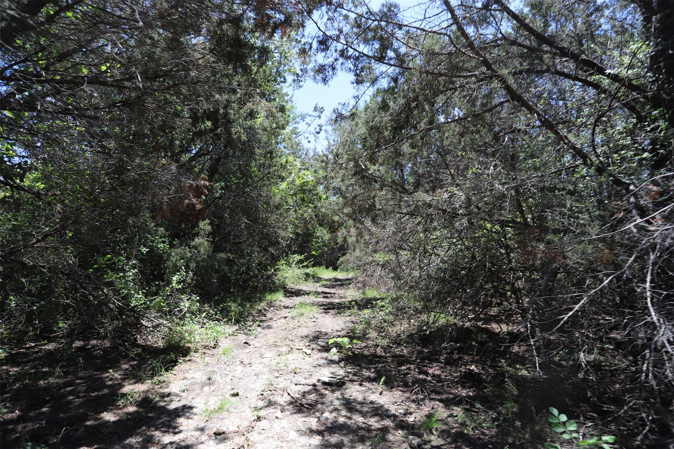 1485 County Road 224 Valley Mills TX 76689