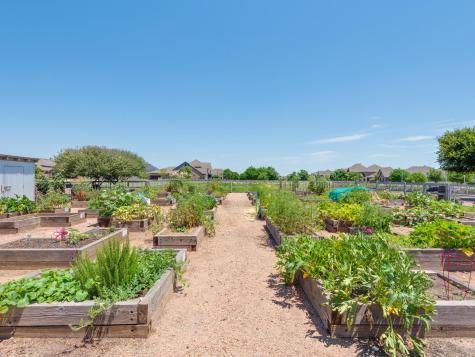 1608 Canary Lane Argyle TX 76226