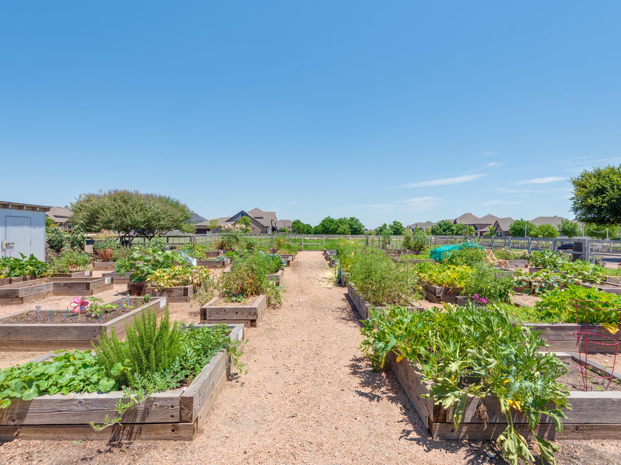 1608 Canary Lane Argyle TX 76226