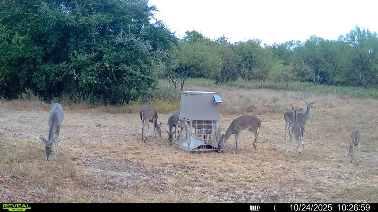 14725 Highway 183 N May TX 76857
