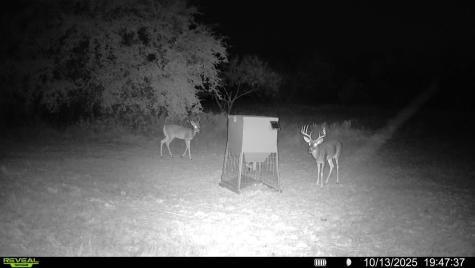 14725 Highway 183 N May TX 76857