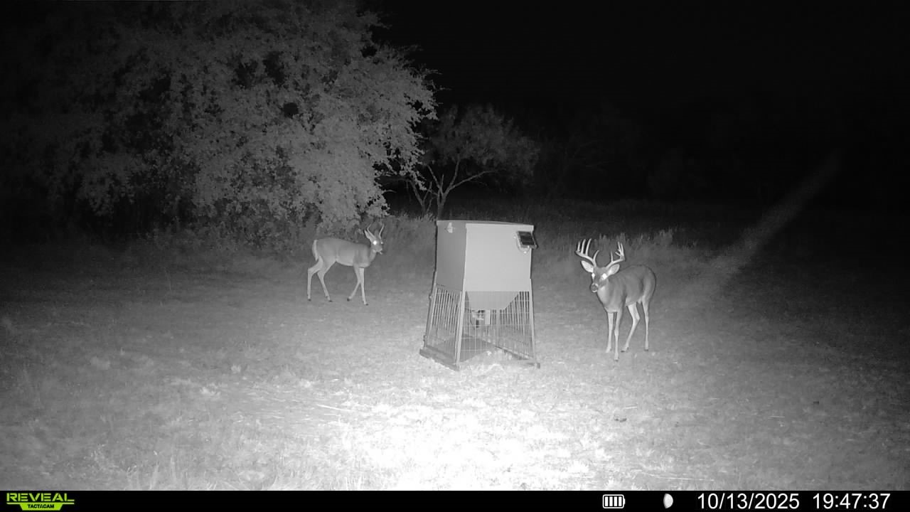 14725 Highway 183 N May TX 76857